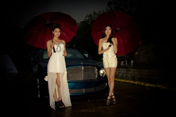 斗罗魅传角色阵容界面